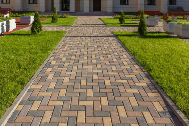 Best Local Driveway Pavers  in Brainerd, MN